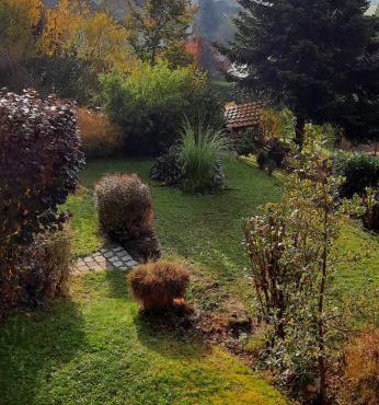 Bine's Home