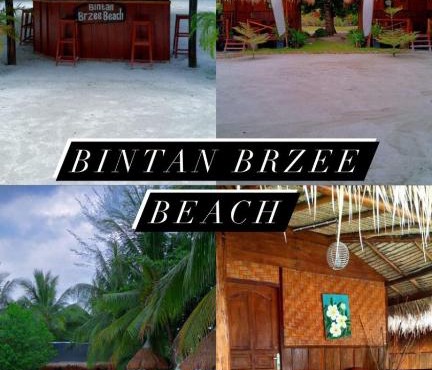 Bintan Brzee Beach in Island Bintan - Bungalow 3