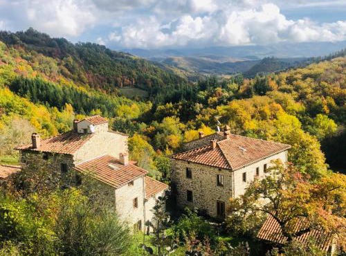 Bio Agriturismo Il Vigno - Pool Sauna Nature - Farm To Table Food - Wild Tuscan countryside - Adults Only - Your Place to Breathe