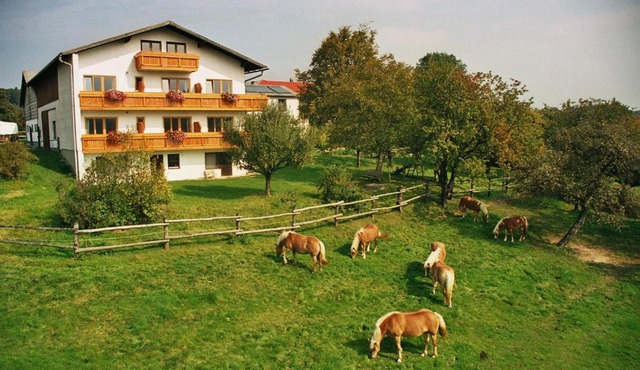Biobauernhof Wolf-Hof