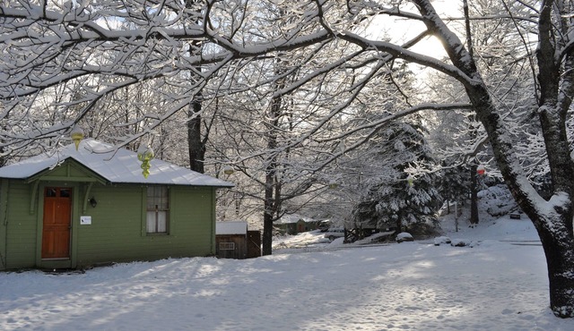 Birch Cottage - Perfect for a short or long stay!