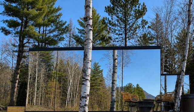 Birch Mirror House at FarAway Pond