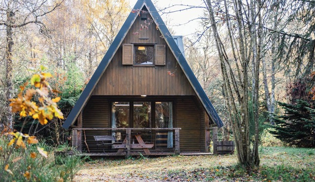 Birch Rowan Combi by Interhome