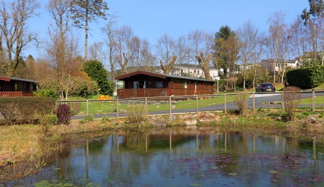 Birchlea