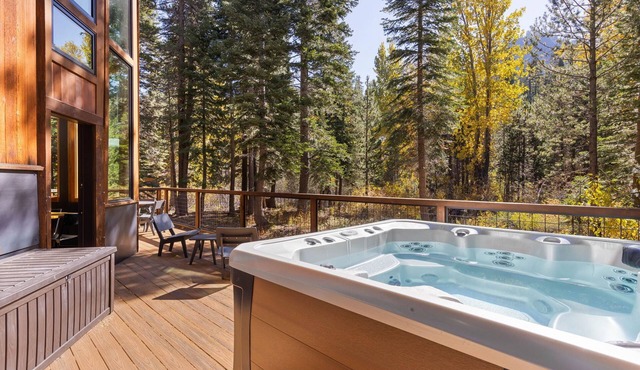 Birchwood - Remodeled 3 BR- Dog OK- Private Hot Tub- Quiet