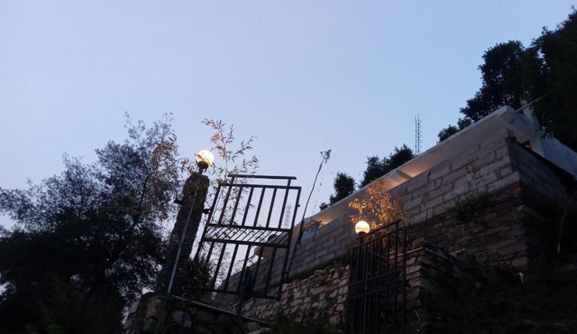 Bird Cottage