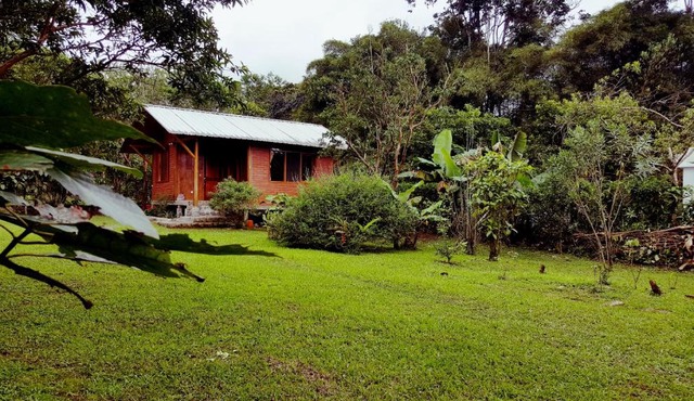 Bird Lover's House