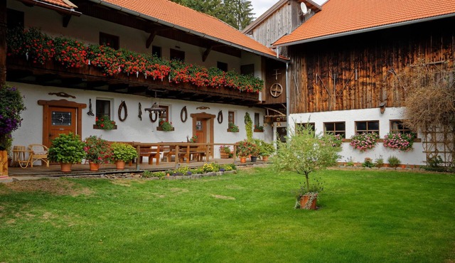 Bird's nest with balcony