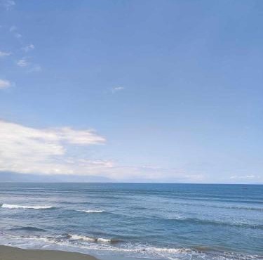 Birdhouse - Baler