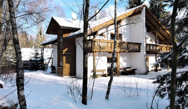 Birke by Interhome