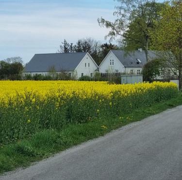 Birkelund BnB