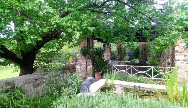 Black Cottage