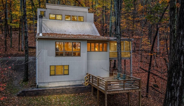 Black Forest - wifi, pets, grill, screen porch, fireplace, pool access, hiking