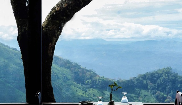 Blackberry Hills Munnar - Nature Resort & Spa