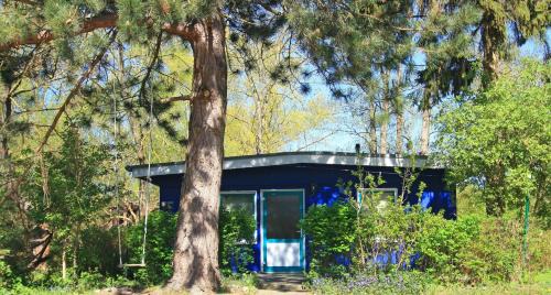Blauer Bungalow am See mit Boot