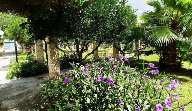 Blue Apartment in Villa AlSalento. All comforts, quiet private bathroom