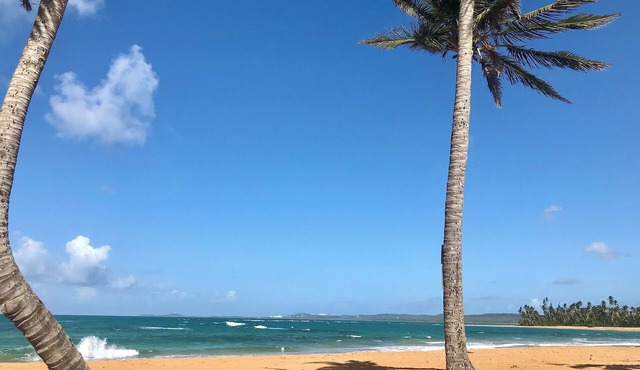 Blue Beach Oasis 200ft. from the beach!