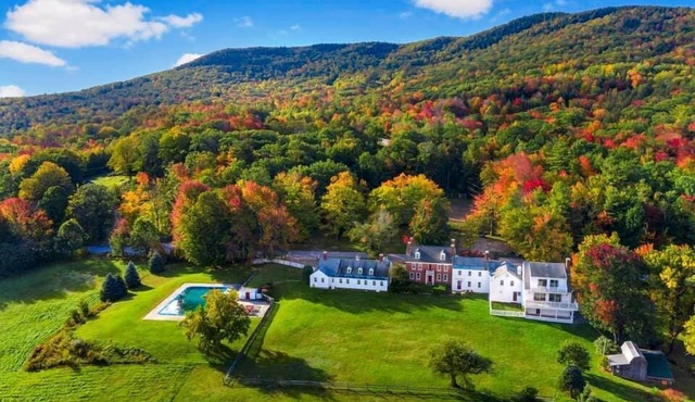 Blue Bear Inn