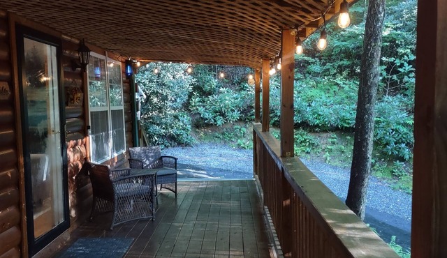 Blue Bear Loft