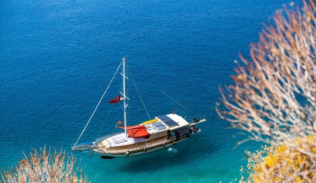 Blue Cruise