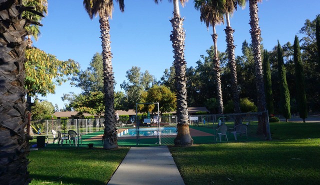 Blue Gum Motel