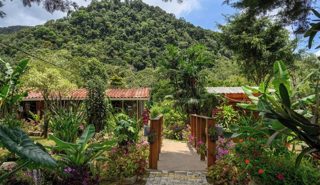Blue Morpho Lodge