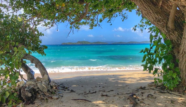 Blue Ocean Breeze with breath taking views of our beautiful blue ocean.