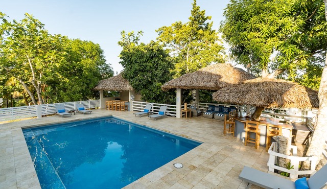 Blue Paloma Bed & Breakfast
