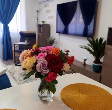 Blue Shades Studio