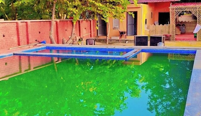 Blue Tree Resort