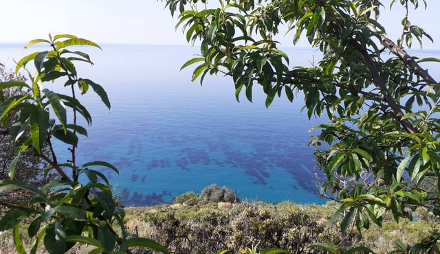 Blue Zagara - Coccon on the Italo-French Riviera