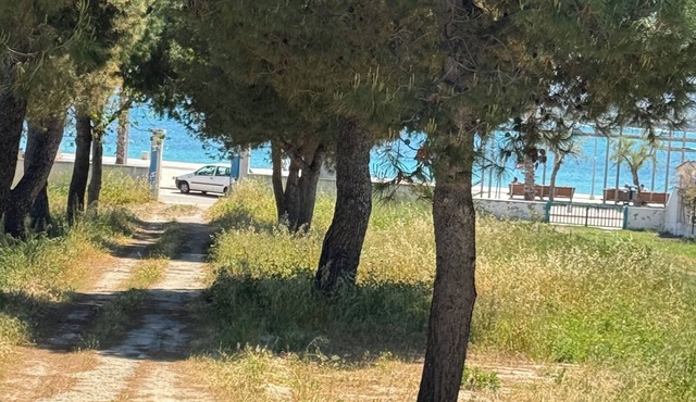 🏡 BlueLoft TorreCanne - Holiday Home by the Sea of Apulia
