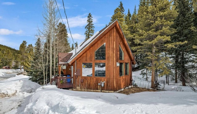 BlueRiver 3BD/2BA 10MI to Breck