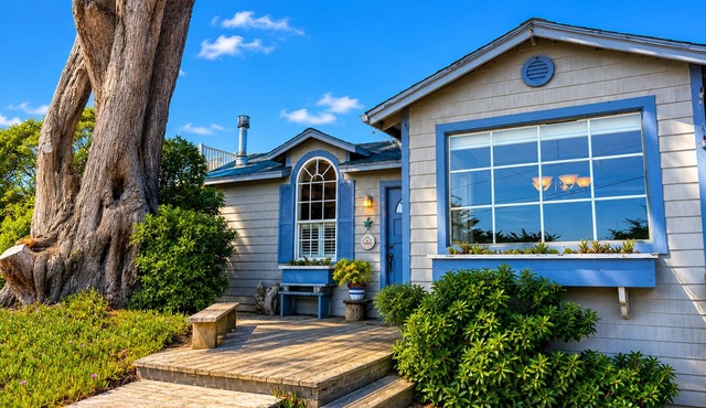 Bodega Bay~Beach Retreat~Easy Walk to Sand-Surf-Fun–Fisherman’s Cottage