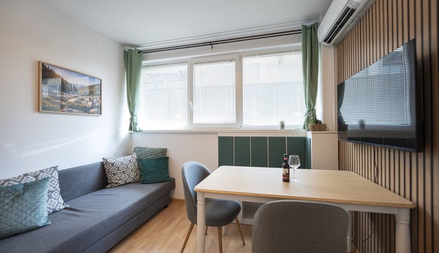 Boho Spa Apartments with Sauna - 2BR