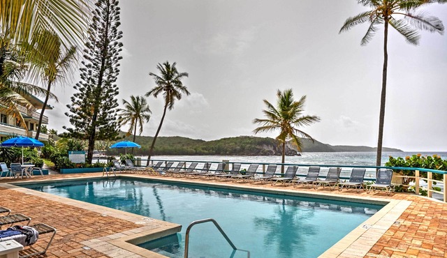 Bolongo Bay Oceanfront Condo w/ Community Pool!