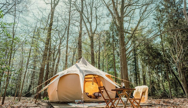 Boomkamp