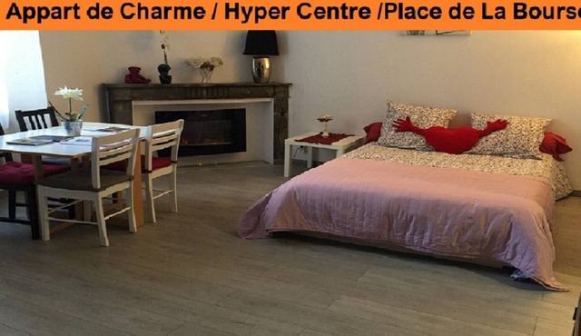 Bordeaux Hyper Center ville Rue Courbin renovated, cozy and bright