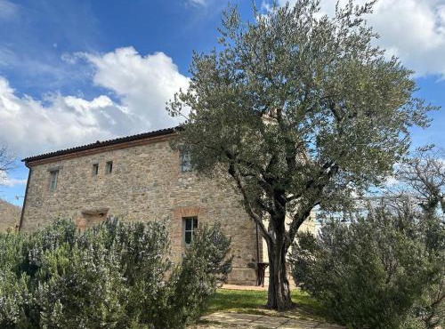 Borgo Cardaneto