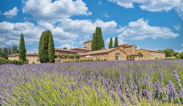 Borgo Scopeto Wine & Country Relais