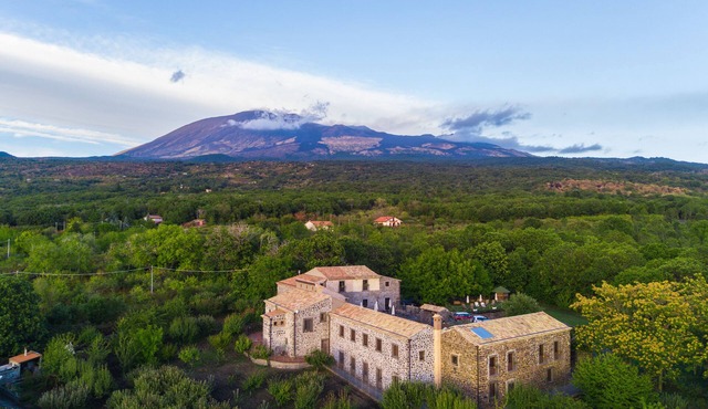 Bosco Ciancio