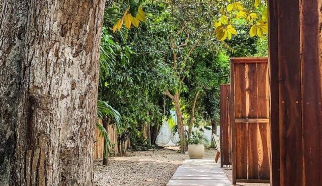 Bosquecito Bacalar