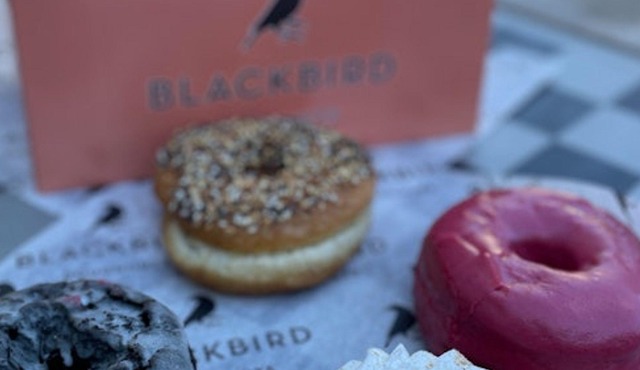 Boston: Harvard Square Guided Donut Tour