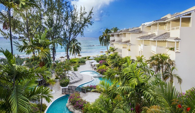 Bougainvillea Barbados