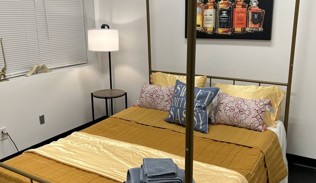 Bourbon, Art & Sport Center nBoutique BnB inside Art Gallery WALK EVERYWHERE!