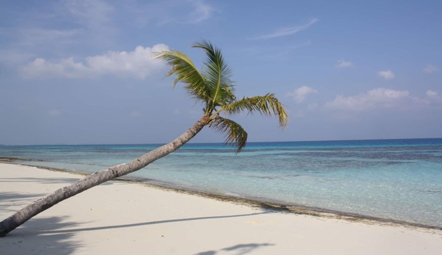 Boutique Beach