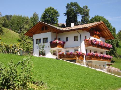 Boznermüllerhof - Geranie
