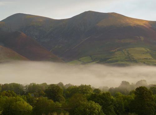 Bracken Howe