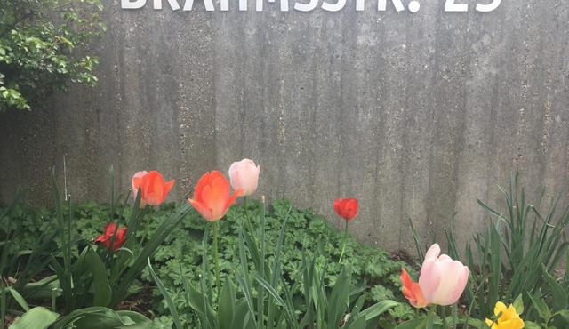Brahms 25