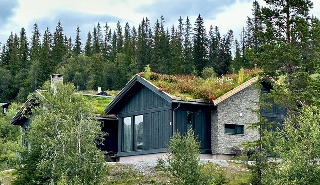 Brand cabin/sunny side of Gaustadtoppen/superviews